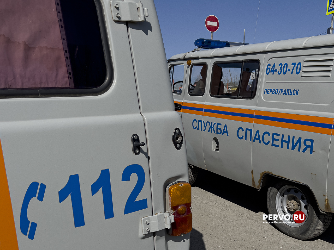 Полицейские продолжают поиски мужчины ушедшего за грибами.