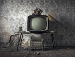 Россиянин после развода распилил телевизор и холодильник, чтобы отдать половину нажитого