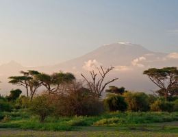 В Танзании расследуют вспышку неизвестной болезни
