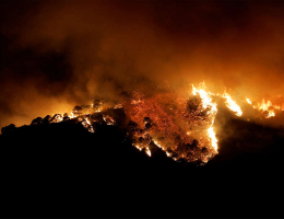 Европа борется с лесными пожарами в сильную жару