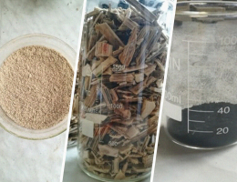 Российские ученые придумали, как ликвидировать разливы нефти с помощью борщевика