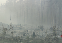 Из-за лесных пожаров смог накрыл город и его окрестности