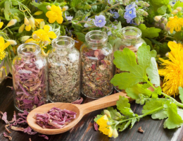 Фитотерапия в Центре традиционной фито- и гирудотерапии Мингинович Е. И.