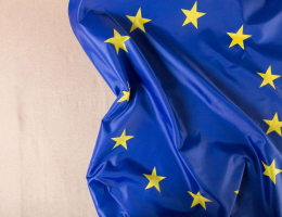 Экономист Перепелица предрек распад ЕС из-за позиции Польши