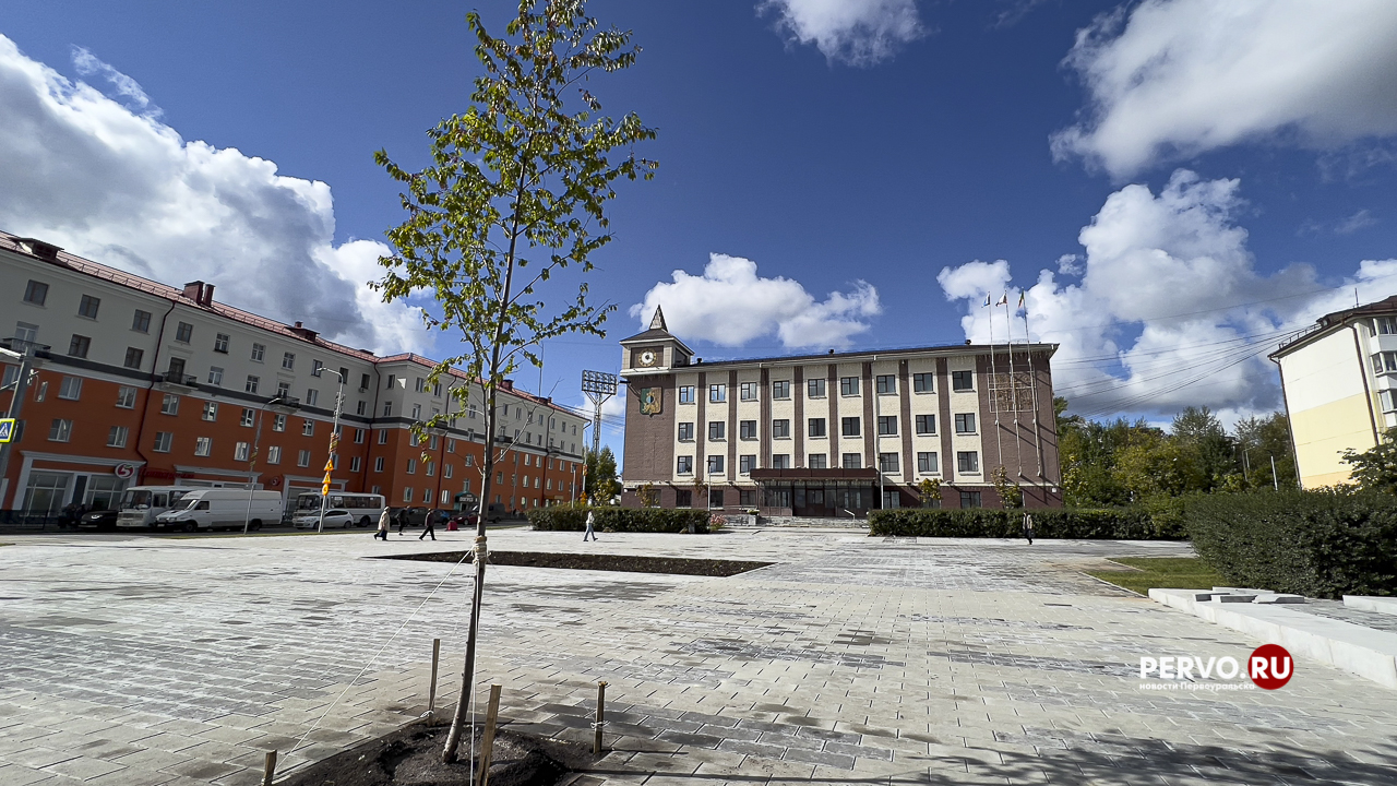 На площади Победы высаживают деревья и кустарники