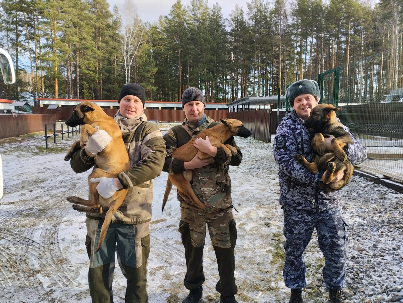 10 щенков уехали в Кировскую область из племенного питомника ГУФСИН