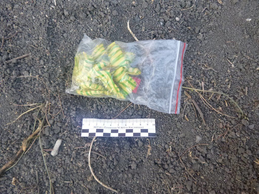 В Первоуральске задержали «бригаду» из троих друзей-наркоторговцев