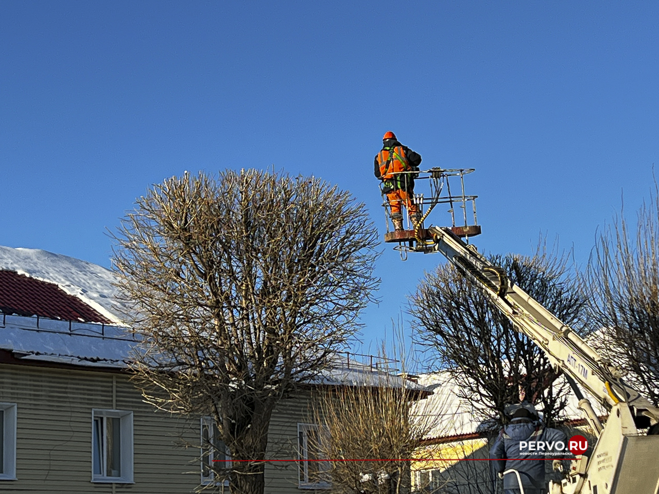 Как и куда подать заявку на кронирования деревьев и кустарников