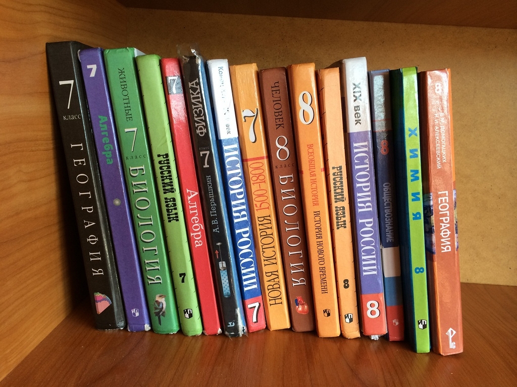 Новый учебник истории появится уже через год