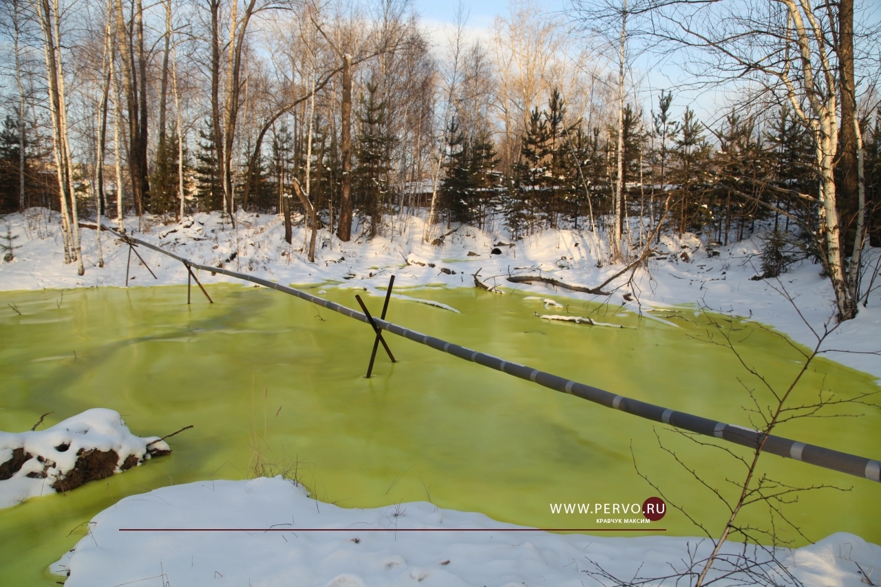 Ученые нашли способ избавиться от зеленого снега в Первоуральске