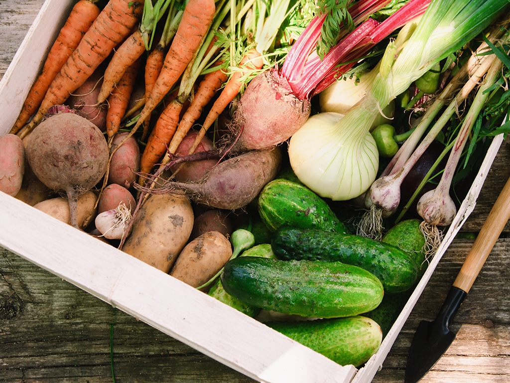 Снижение стоимости «борщевого набора» составило более 72 рублей