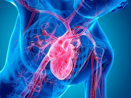 В городе появится центр по лечению пациентов с хронической сердечной недостаточностью