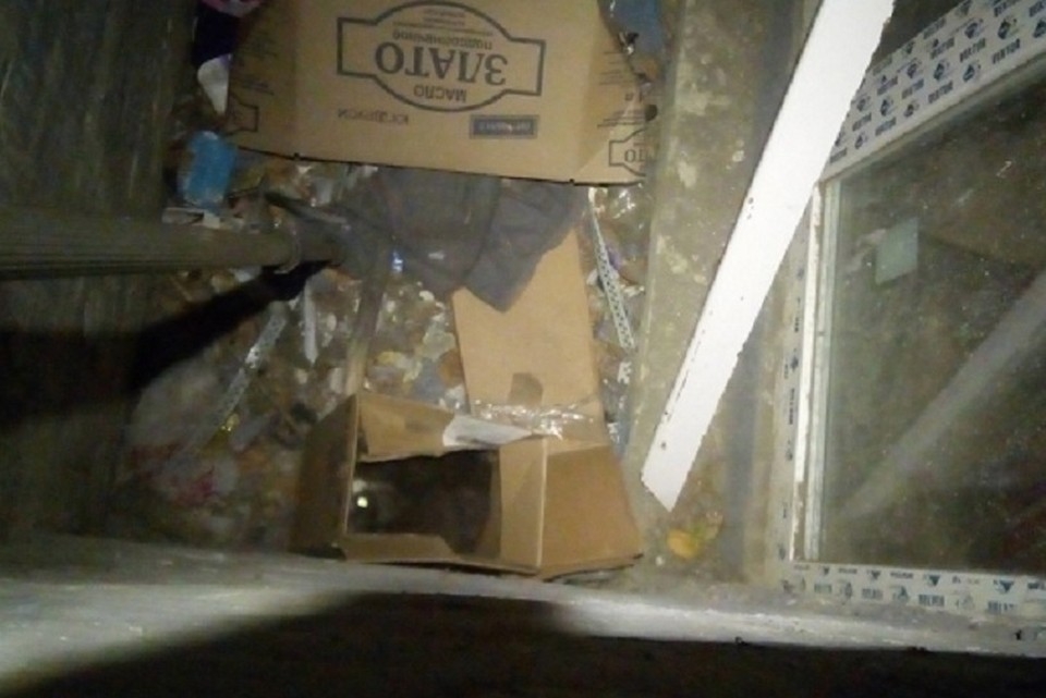 В Первоуральске волонтер спас кота, который провалился в приямок жилого дома