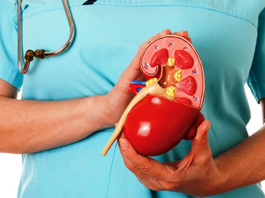 Порядка 300 человек стоят на диспансерном учете по заболеваниям почек