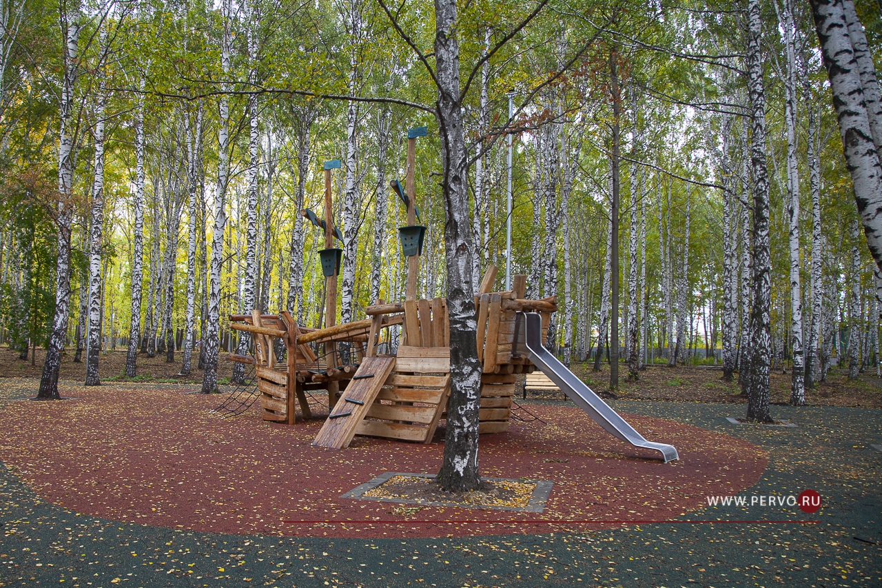 Определен подрядчик, который будет поддерживать чистоту в Корабельной роще