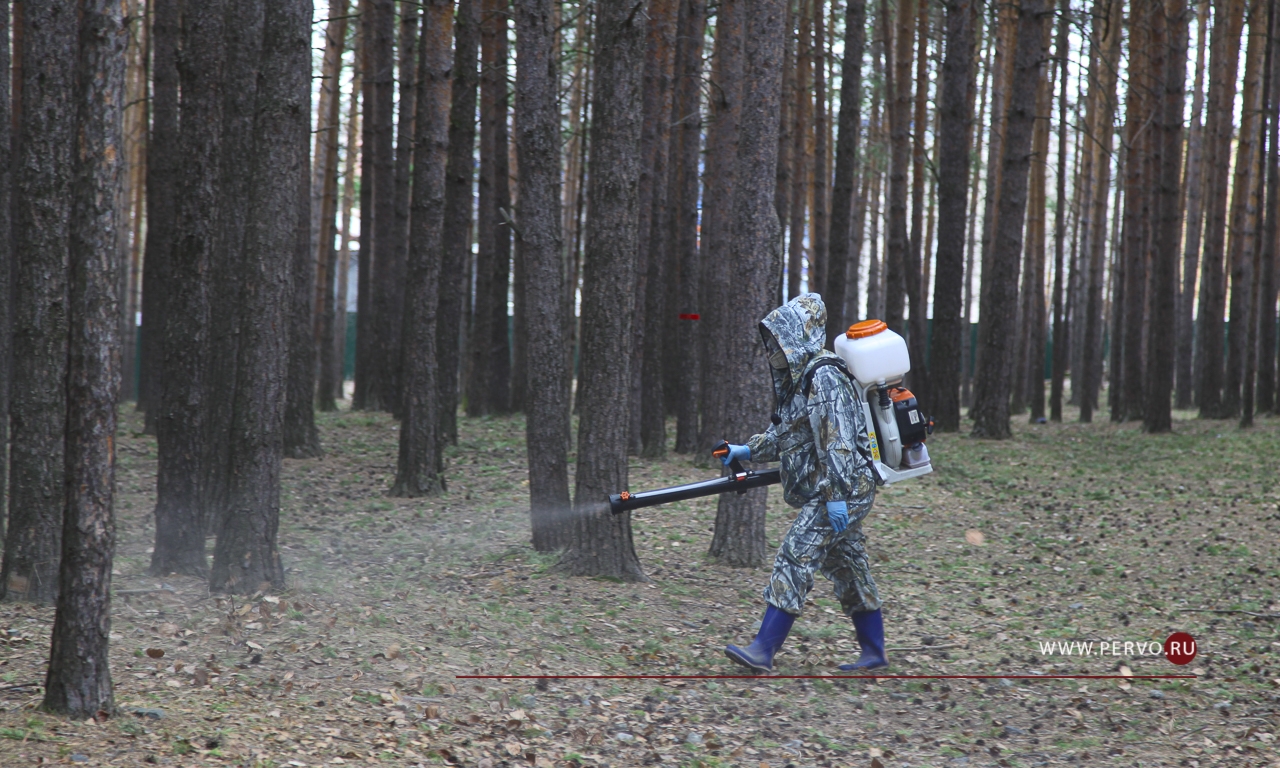 Территорию «Парка новой культуры» обработали от клещей