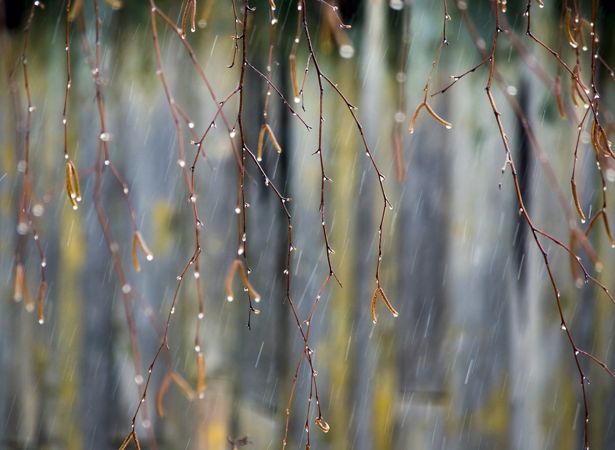 На неделе в Первоуральске похолодает до -14 градусов