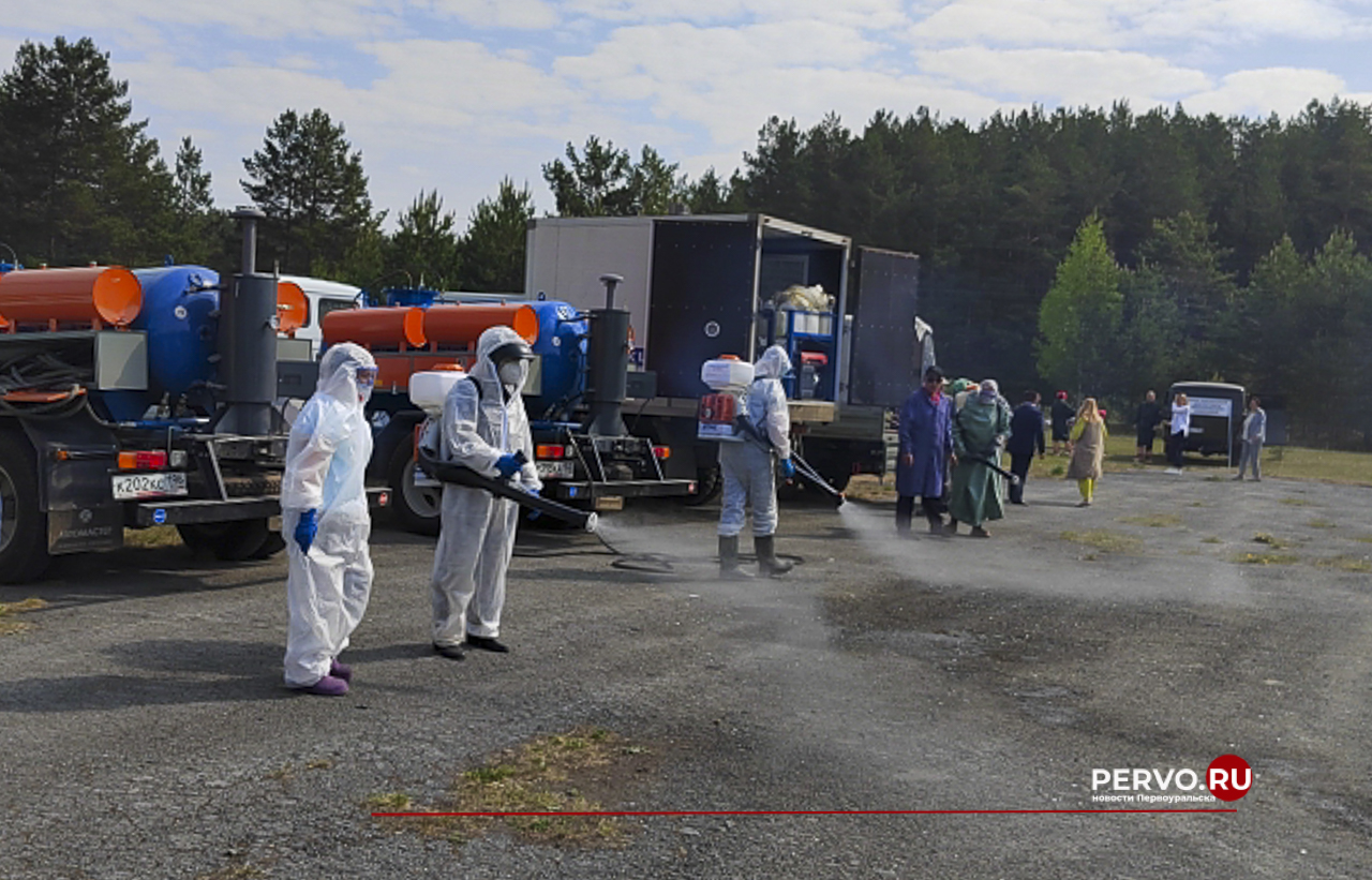 В городе прошли учения по ликвидации очага высокопатогенного гриппа птиц