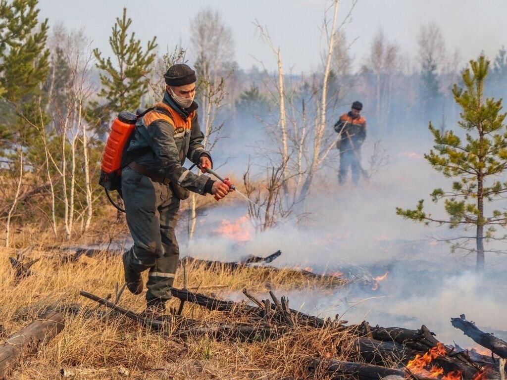 Волонтёров, помогающих на пожарах будут денежно поощрять