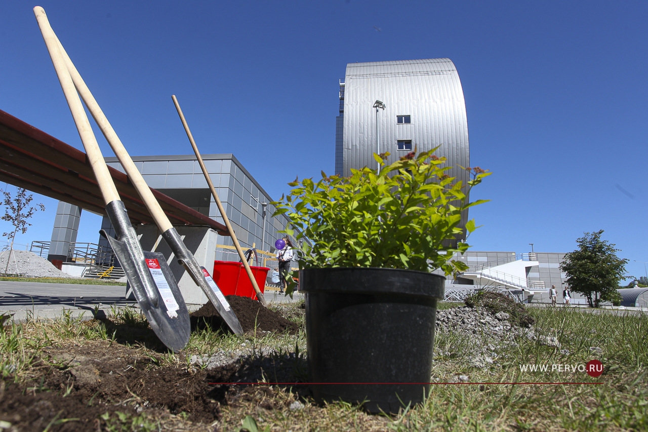 1 июня у здания ИКЦ пройдёт ежегодная экологическая акция «ИННОПАРК»
