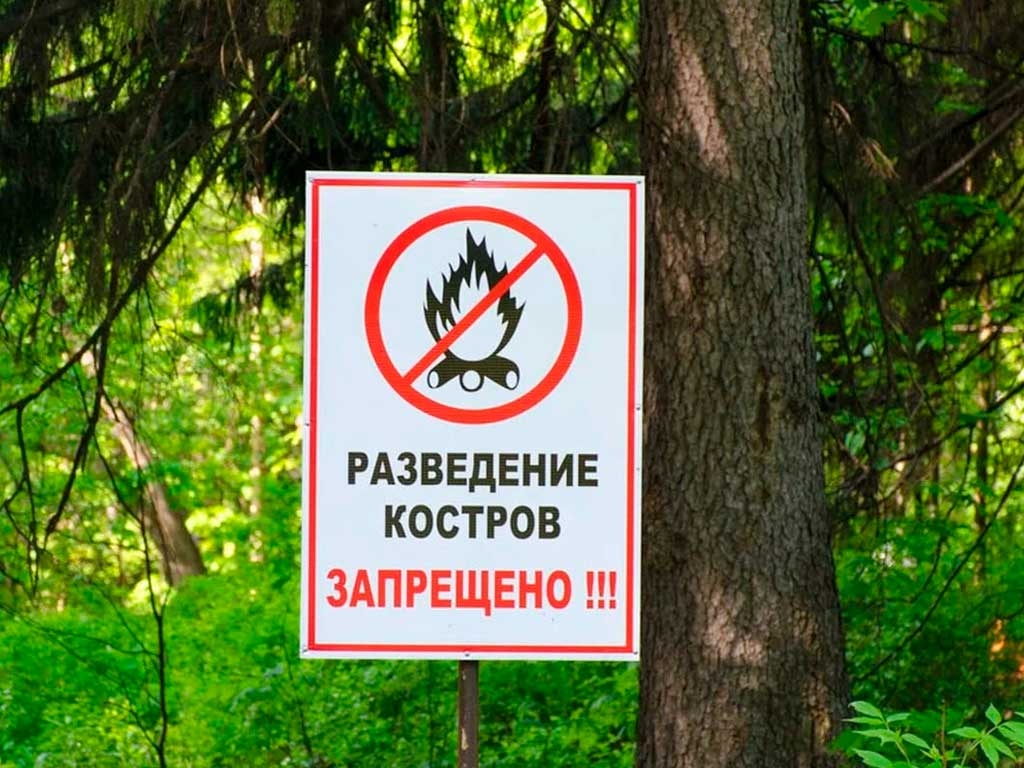 В лесах городского округа сегодня снимают режим ЧС 