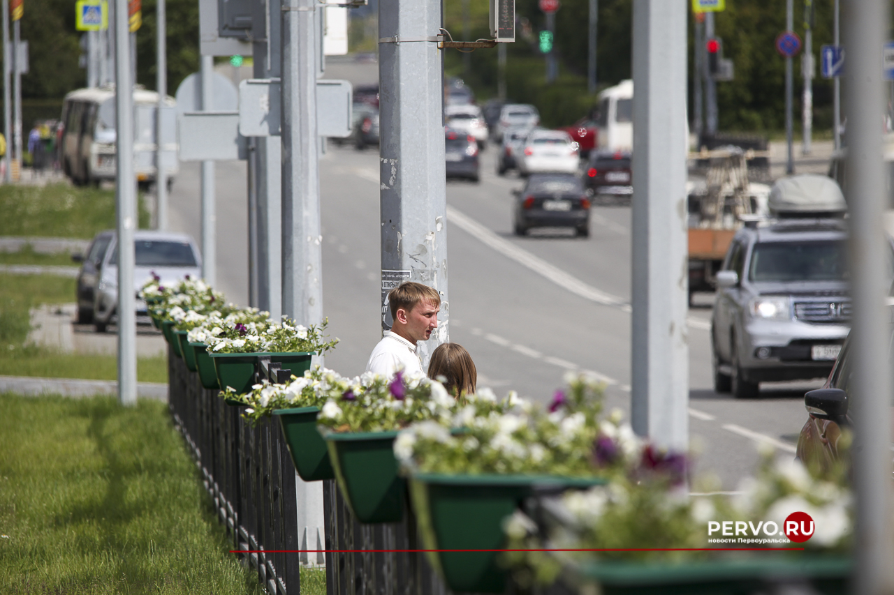 Минтранс объяснил, почему нельзя убирать заборы вдоль дорог
