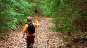 В Челябинске нашли двухлетнего ребенка, в одиночку бродившего вечером по лесу