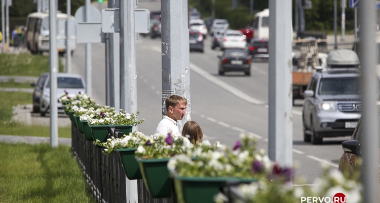 Минтранс объяснил, почему нельзя убирать заборы вдоль дорог