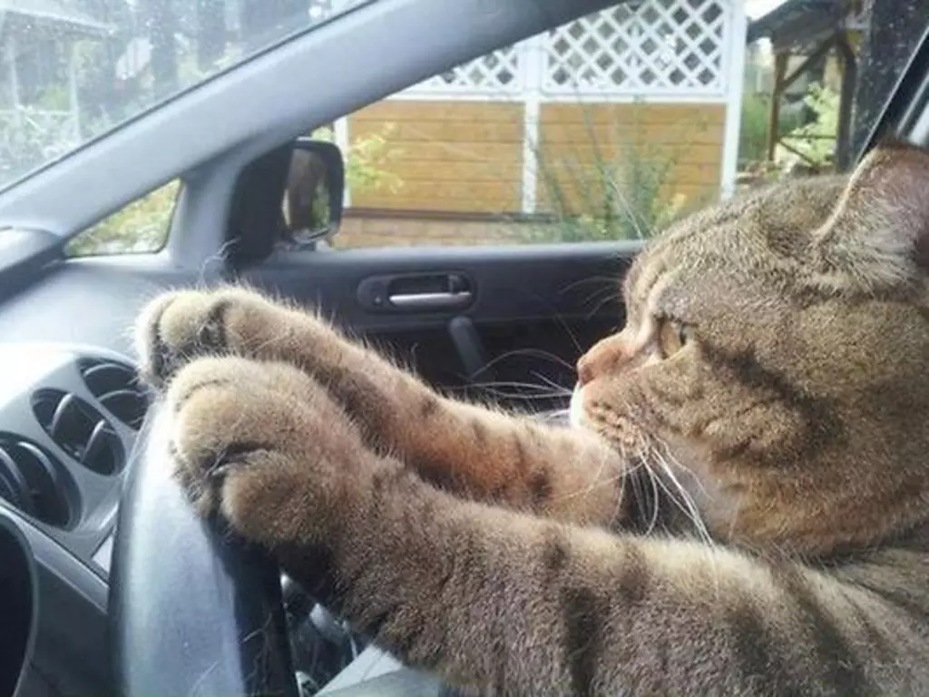 Автошкола заплатит своим клиентам полмиллиона за некачественное обучение