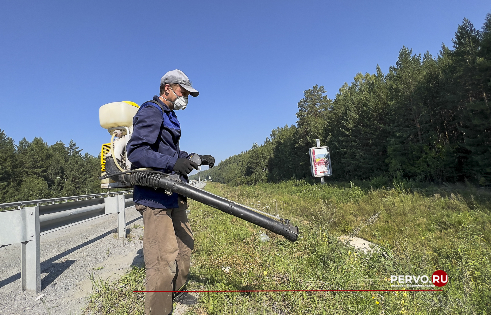 В Первоуральске уничтожают опасный борщевик