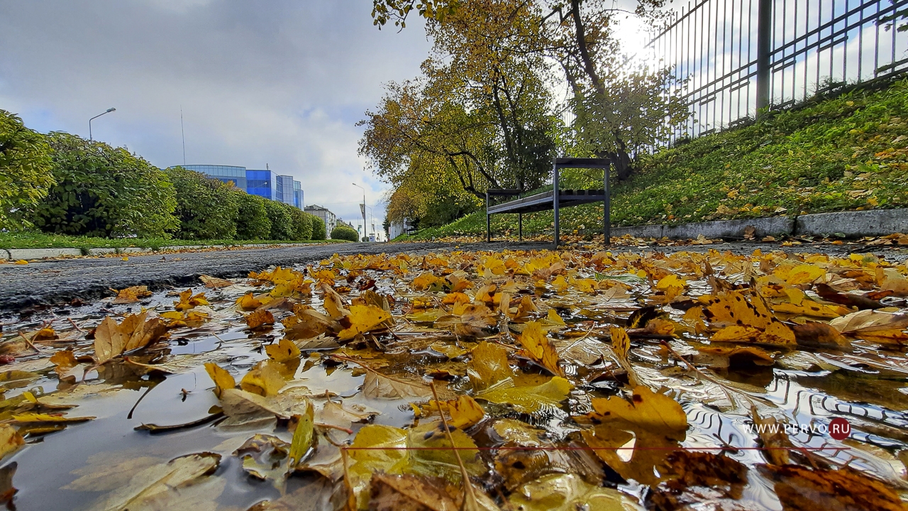 Первоуральск с 4 сентября ждет бабье лето