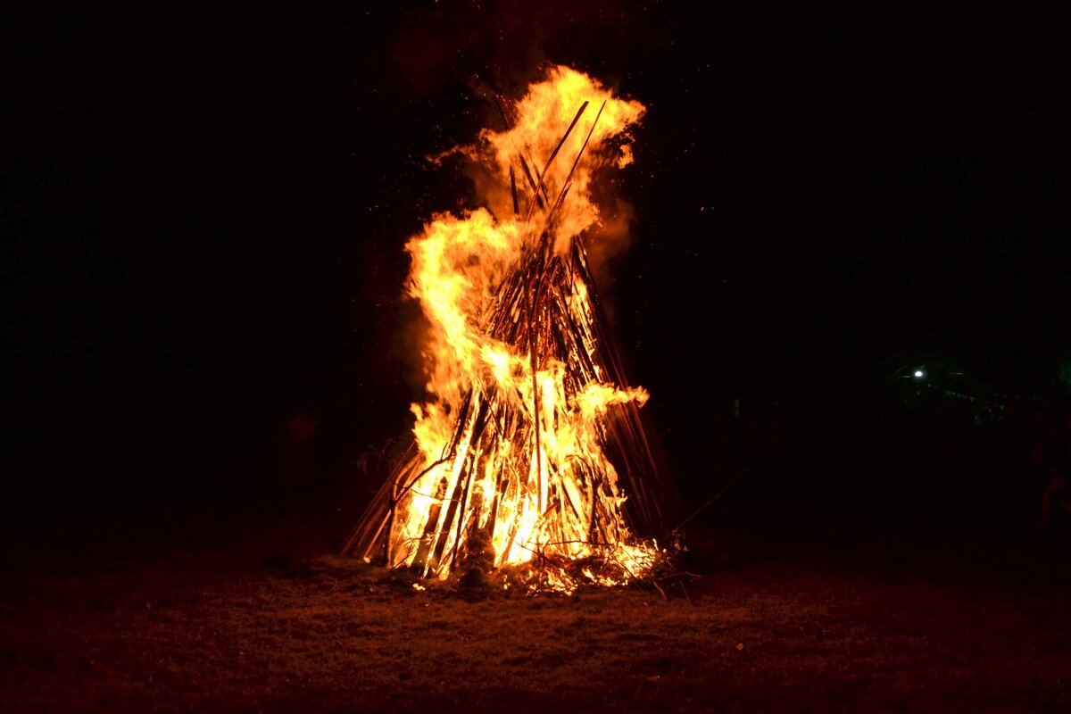 Поляну с «ритуальными» костровищами и банкой крови нашли в лесу Первоуральска