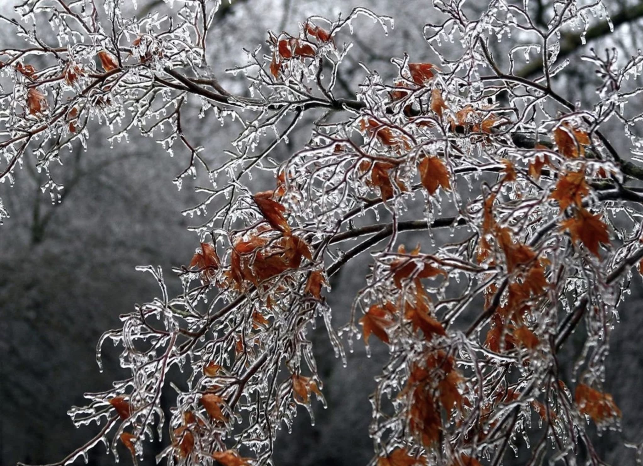 В Первоуральске пройдут ледяные дожди, а воздух прогреется до +7 ℃