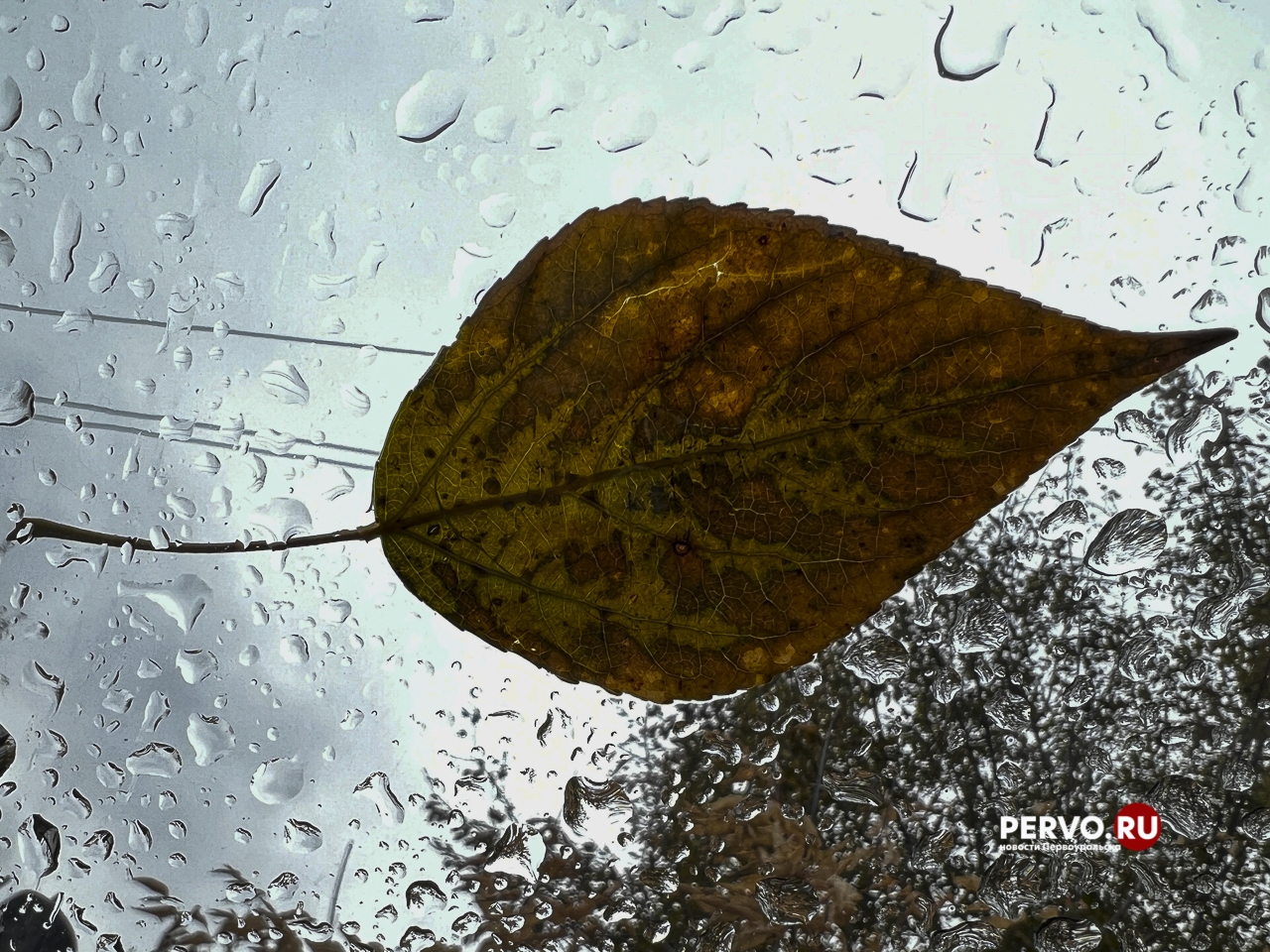 Синоптики предупредили о дожде с мокрым снегом