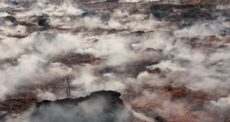Вода ушла даже из болот: побит рекорд по торфяным пожарам