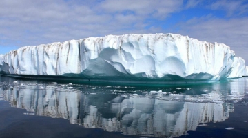 Более 40% шельфовых льдов Антарктиды сократились за 25 лет