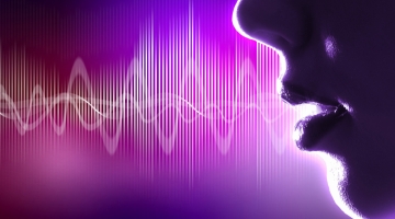 В России намерены законодательно закрепить охрану голоса человека