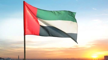 ОАЭ разочарованы, что СБ ООН не поддержал проект резолюции РФ