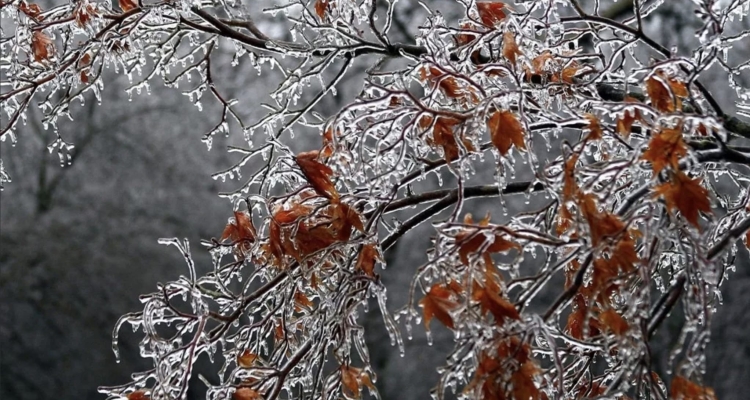 В Первоуральске пройдут ледяные дожди, а воздух прогреется до +7 ℃
