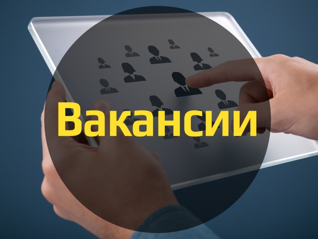 Названы самые высокооплачиваемые вакансии осени