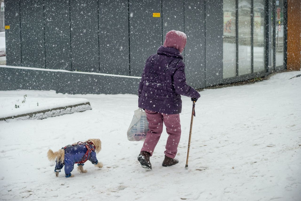 Дождались зимы: синоптики обещают снег и гололед