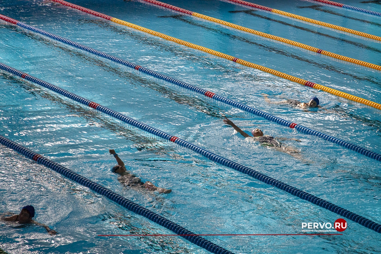 Во Дворце водных видов спорта сдавали нормативы ГТО