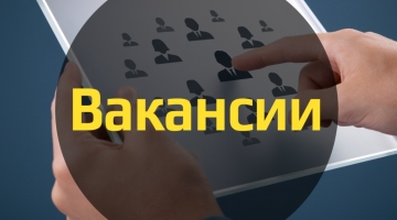 Названы самые высокооплачиваемые вакансии осени