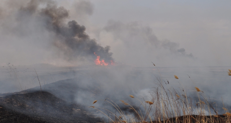 Жители города и пригородов пожаловались на запах гари