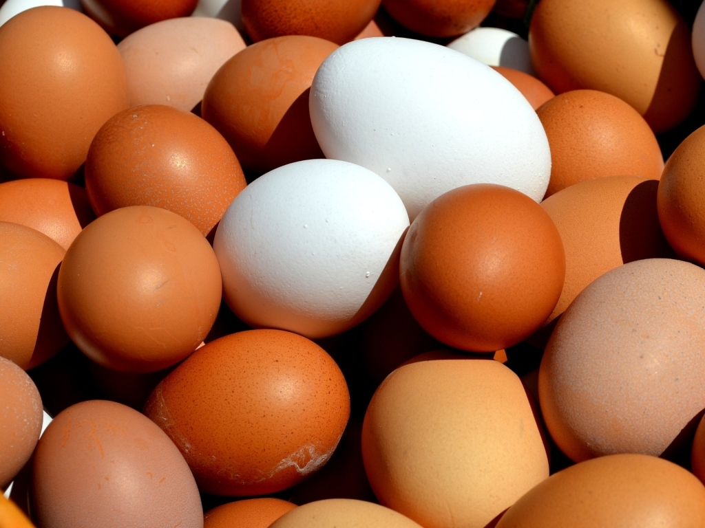 Лучик света - Чем отличаются коричневый яйца от белых?