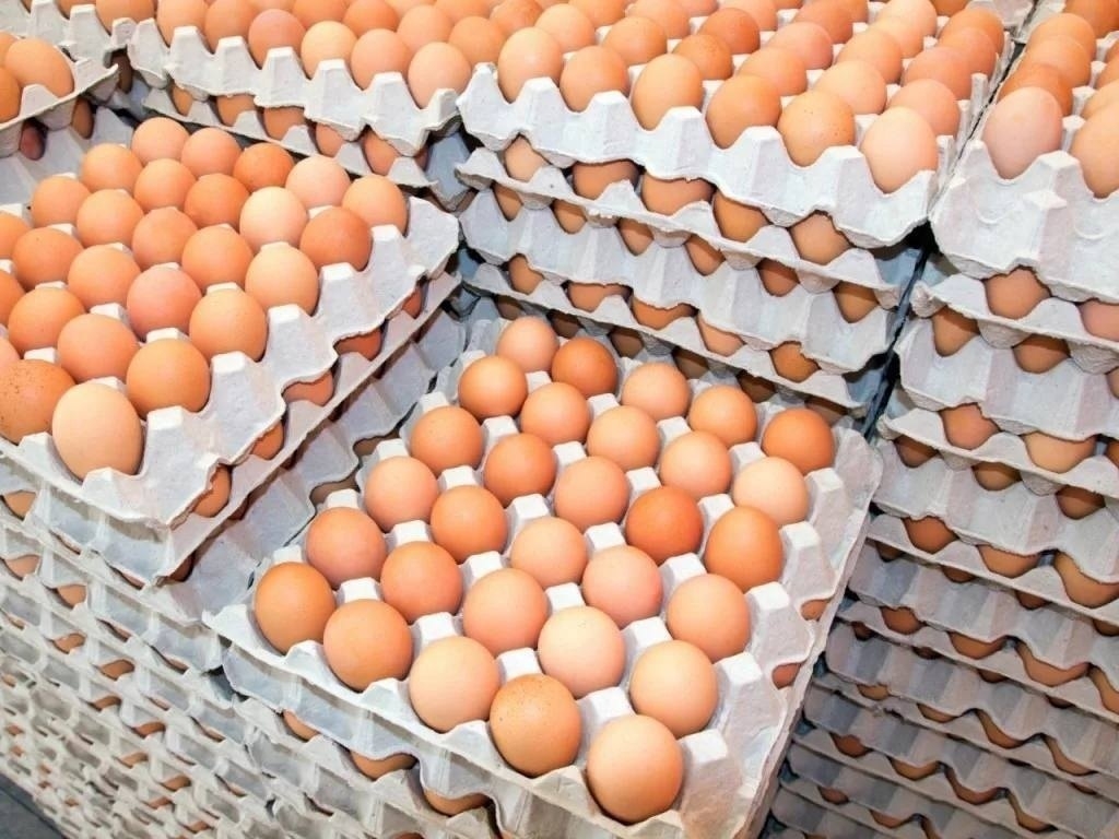 Партия яиц из Турции в количестве почти 900 тыс. штук прибыла в Россию