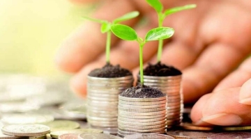 Инвестиции в землю - новые горизонты доходности и устойчивости