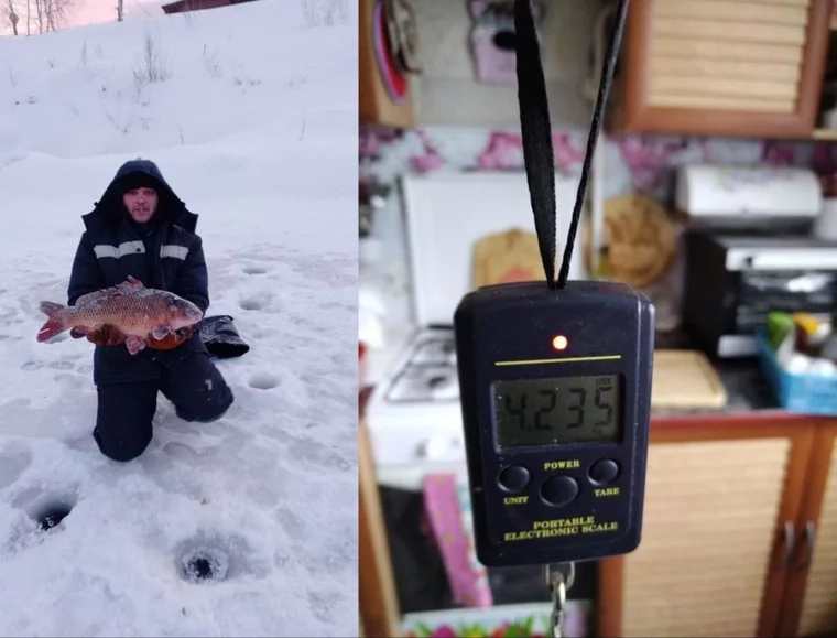 Рыбак поймал в Чусовой карпа, но ему не поверили. Фото и комменты