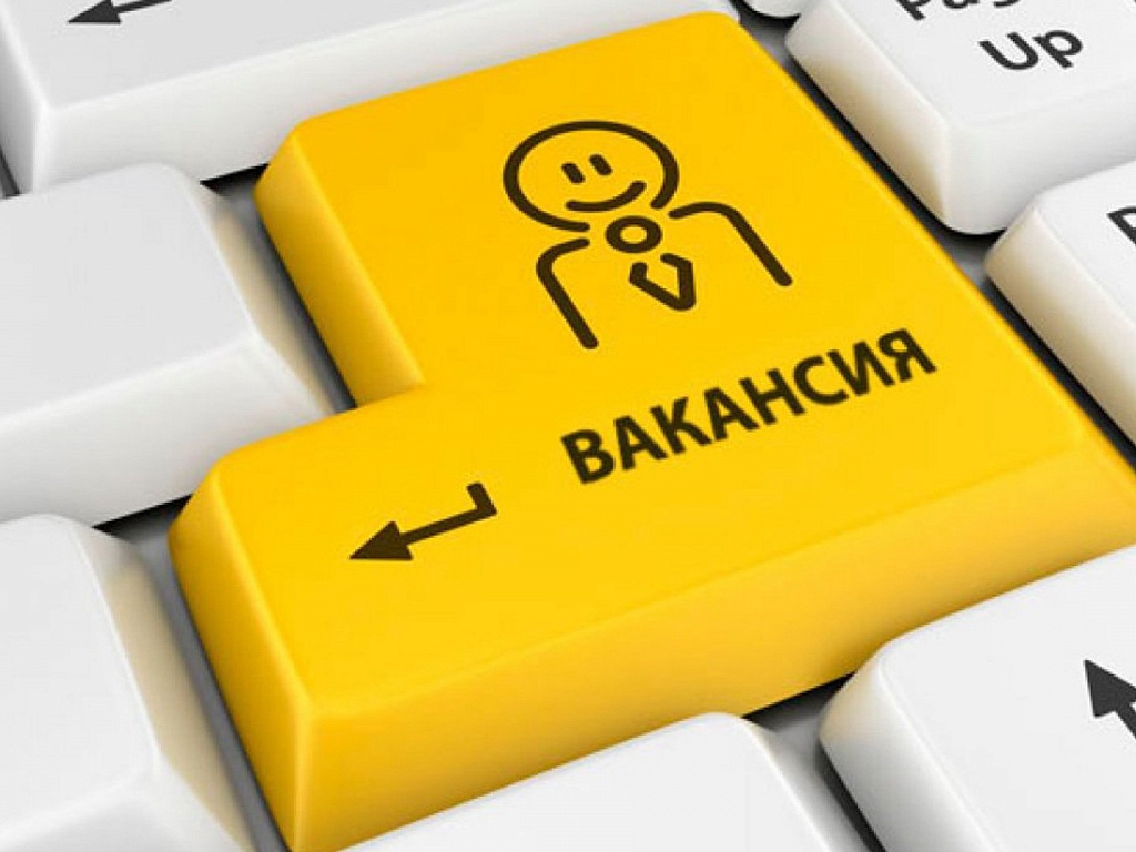 Число вакансий для начинающих специалистов выросло на 71%