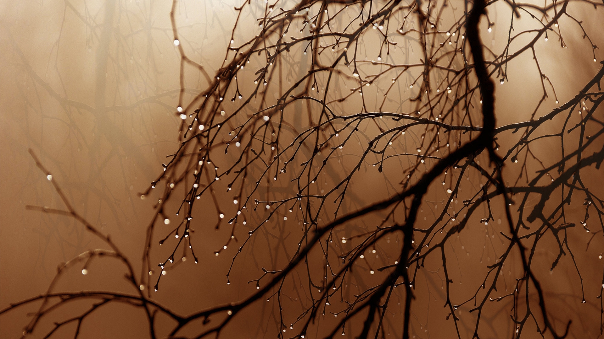 В Первоуральске возможен «ржавый» дождь